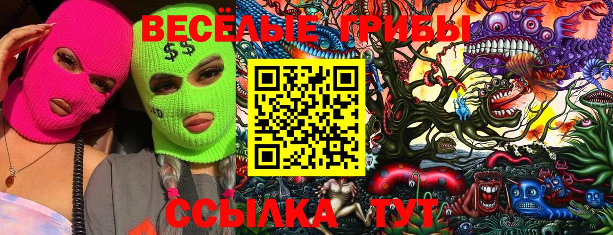Галлюциногенные грибы Psilocybine cubensis  Вход с VPN  Дивногорск 
